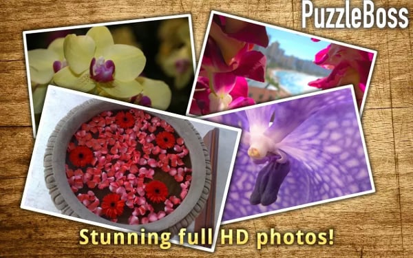 Orchid Flower Jigsaws FR...截图4