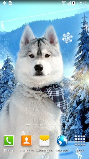 Cute Winter Wallpaper截图6