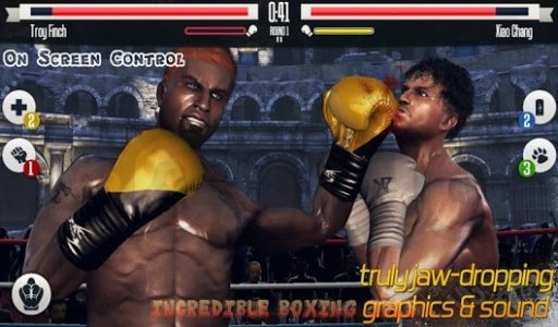 Incredible Boxing 3D15截图3