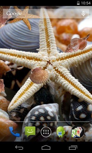 Sea shells Live Wallpaper截图6