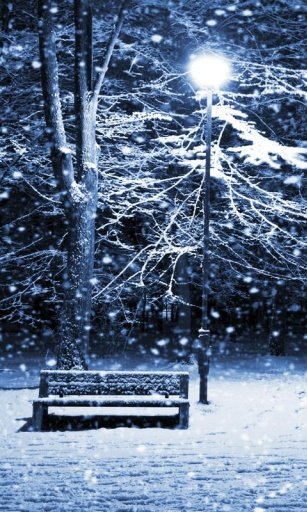 Winter Storm Live Wallpapers截图4