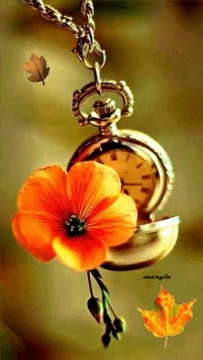 Clock Flower Live Wallpaper截图7