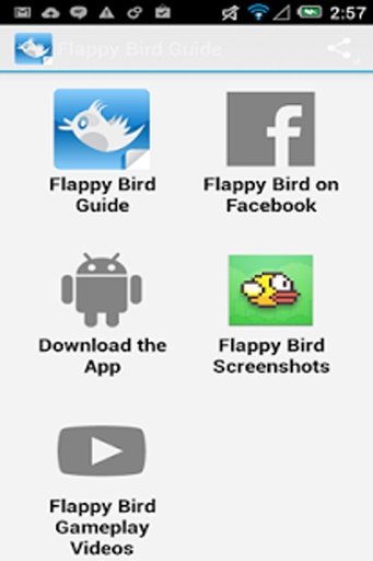 Flappy Bird Guide截图2