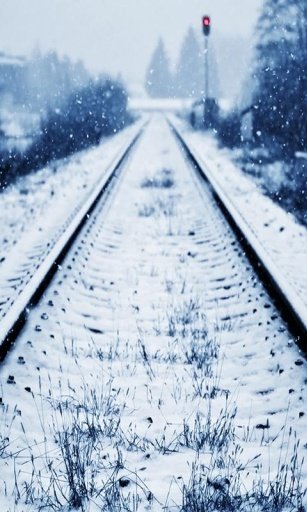 Winter Snow HD Wallpapers截图4