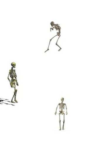 Dancing Skeletons Live Wall截图4