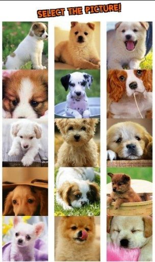 Puppy Dog Puzzle截图4