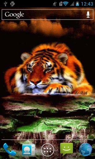 Fiery tiger Live Wallpaper截图3