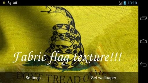 DONT TREAD ON ME (LWP Free)截图3