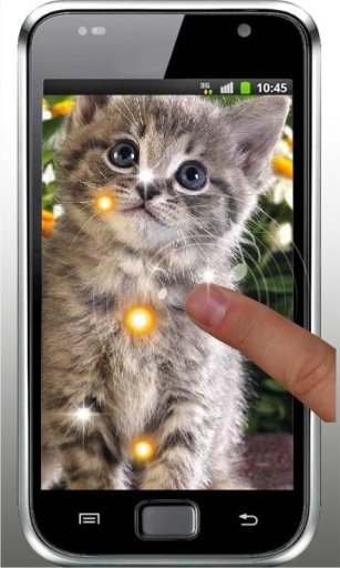 Kitty Gallery HD LiveWallpaper截图6