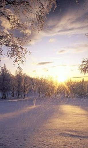 Winter Snow HD Wallpapers截图10