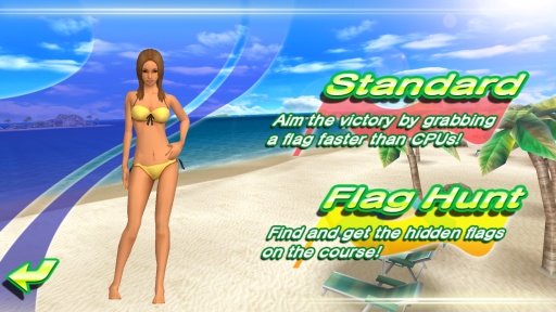 Beach Flag Paradise截图5