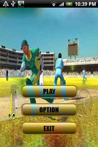 World Cricket in Action截图2