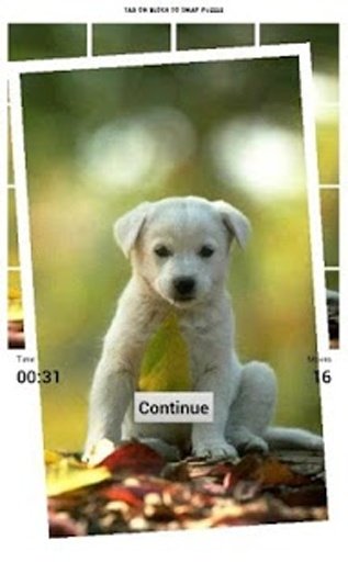 Puppy Dog Puzzle截图7