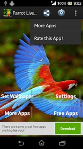 Parrot Live Wallpaper HD截图1