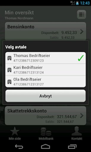 Eidsberg Sparebank Bedrift截图8