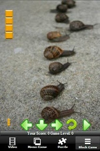 Turbo Racing Snail截图4