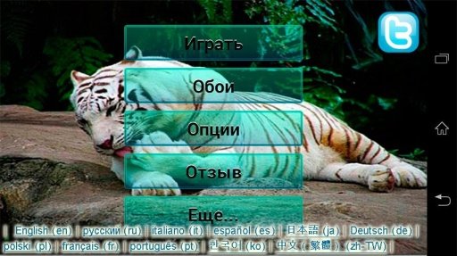 Tigers Puzzle Wallpapers截图6