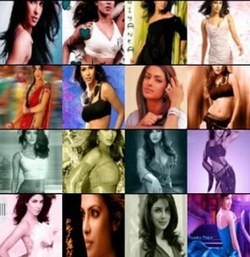 Priyanka Latest Wallpaper 2013截图2