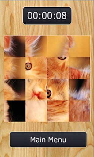 Little Cats Puzzles截图4