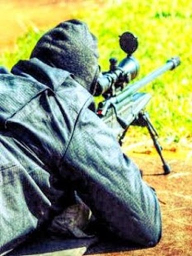 Army Shooter Sniper截图3