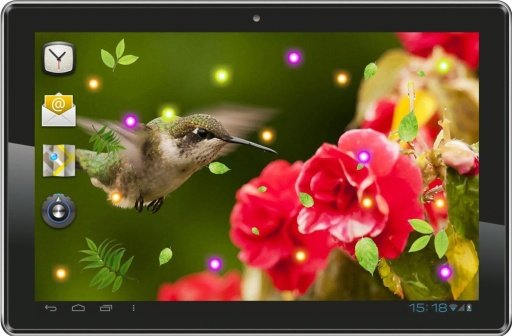 Lovely Colibri live wallpaper截图1