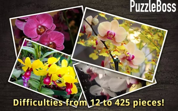 Orchid Flower Jigsaws FR...截图3