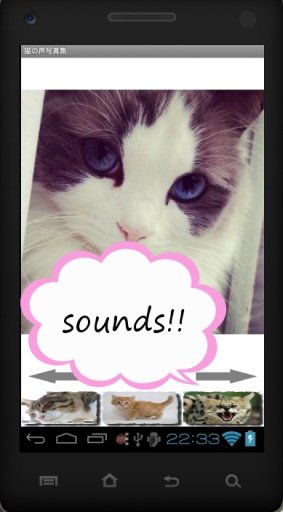 Cat Photo Sound Collection截图2