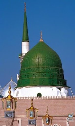 Makkah Madina Live Wallpapers截图3