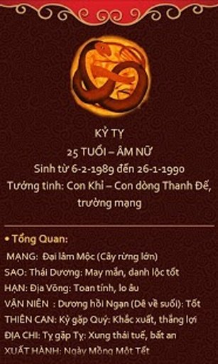 Tử Vi Con Gi&aacute;p 2013 (Miễn Ph&iacute;)截图4