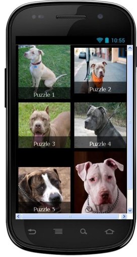 Dog Puzzle: Pitbull截图5