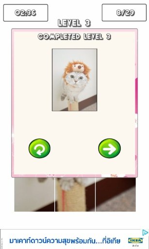 Funny Cat Puzzles game截图4