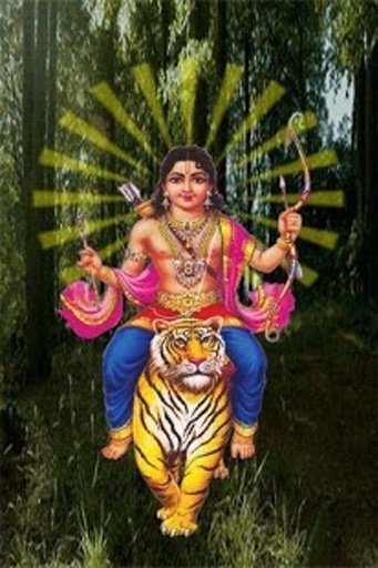 Ayyappa Live One Wallpaper截图1