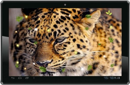 Jaguar Sounds live wallpaper截图2