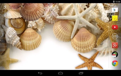 Sea shells Live Wallpaper截图2