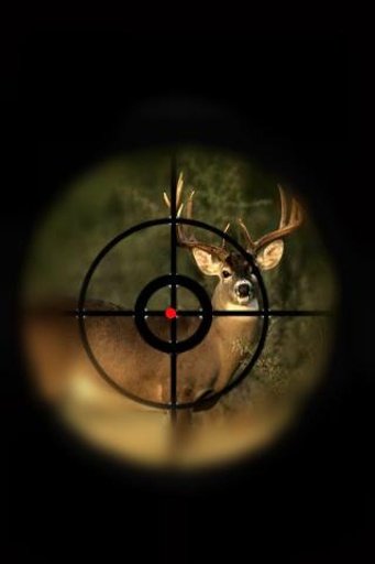 Deer Animal Hunter截图1