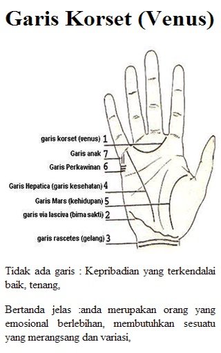 membaca garis tangan截图1