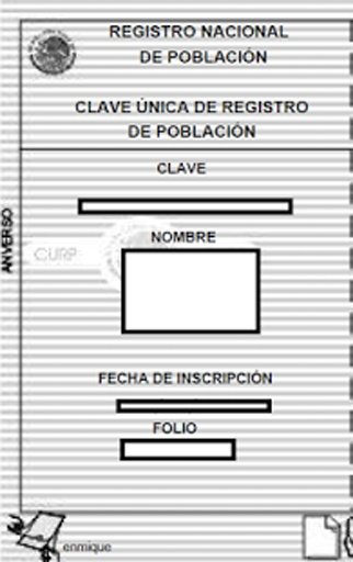 Consulta CURP gratis截图5