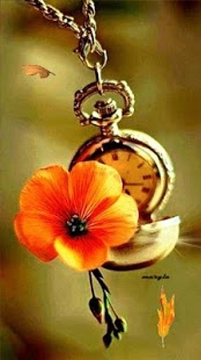 Clock Flower Live Wallpaper截图4