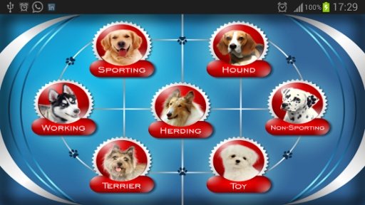 About Dog Breeds (Free)截图8