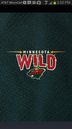 MN Wild NHL截图2