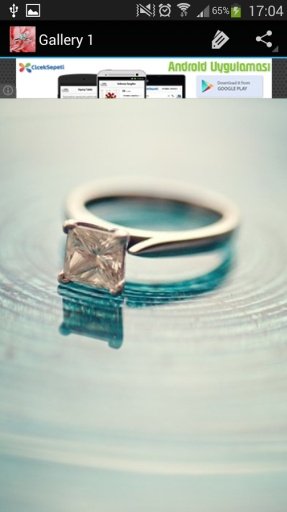 Princess Cut Engagement Rings截图4