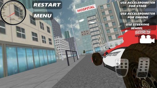 Race Car Simulator截图2