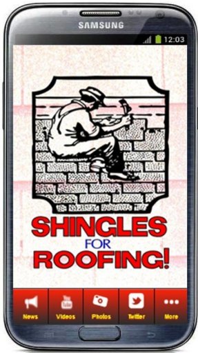 SHINGLES FOR ROOFING!截图2