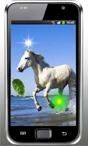 Horse Sea Beach live wallpaper截图4