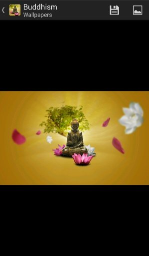 Buddhism - HD Wallpapers截图1