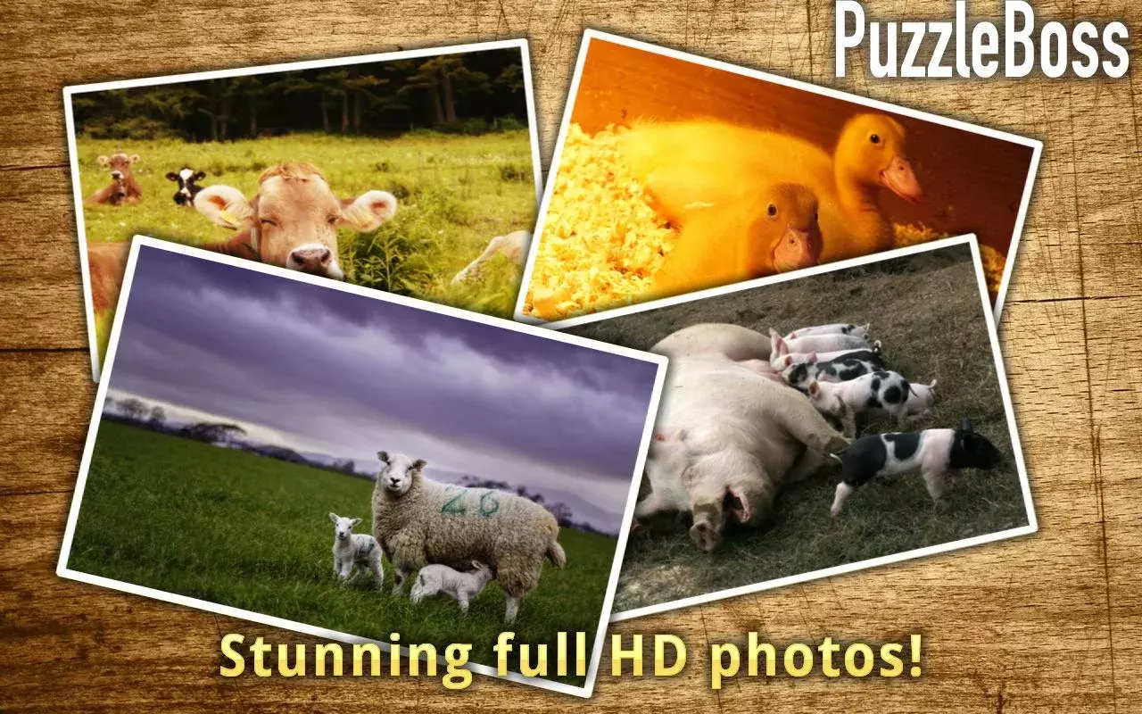 Farm Animal Jigsaws FREE截图10