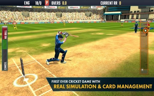 ICC Pro Cricket 2015截图6