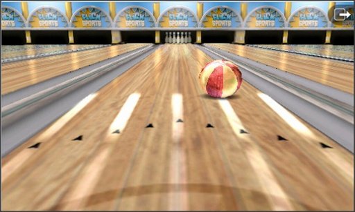 3D Fun Bowling截图3