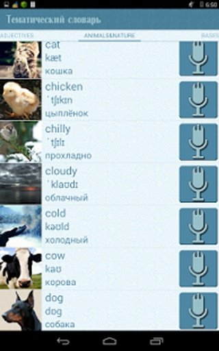 My English截图2