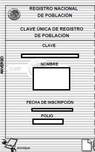 Consulta CURP gratis截图3